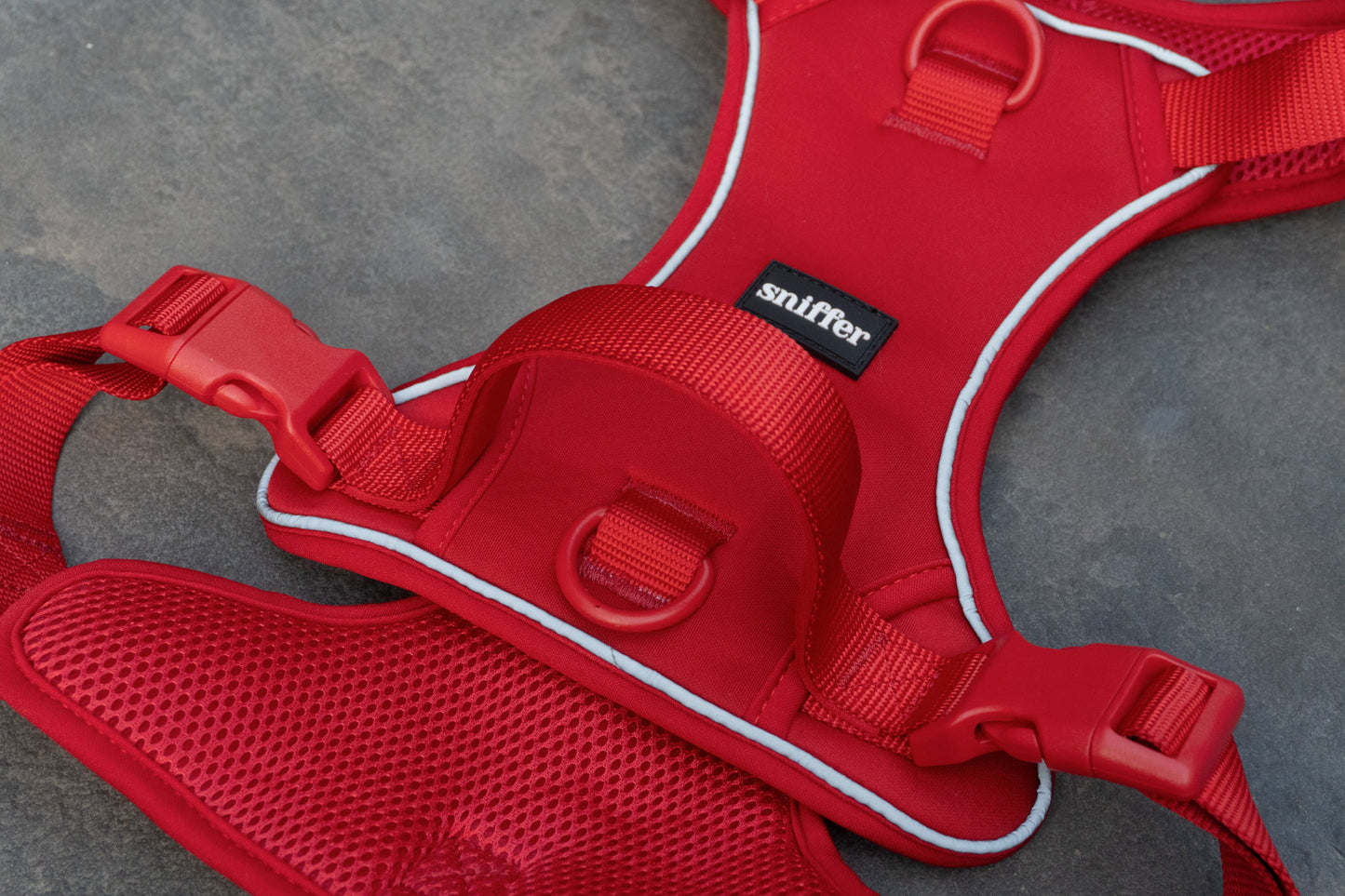 Pack Arnés Flex + Correa Grip (3-5-7 metros) - Rojo Vino