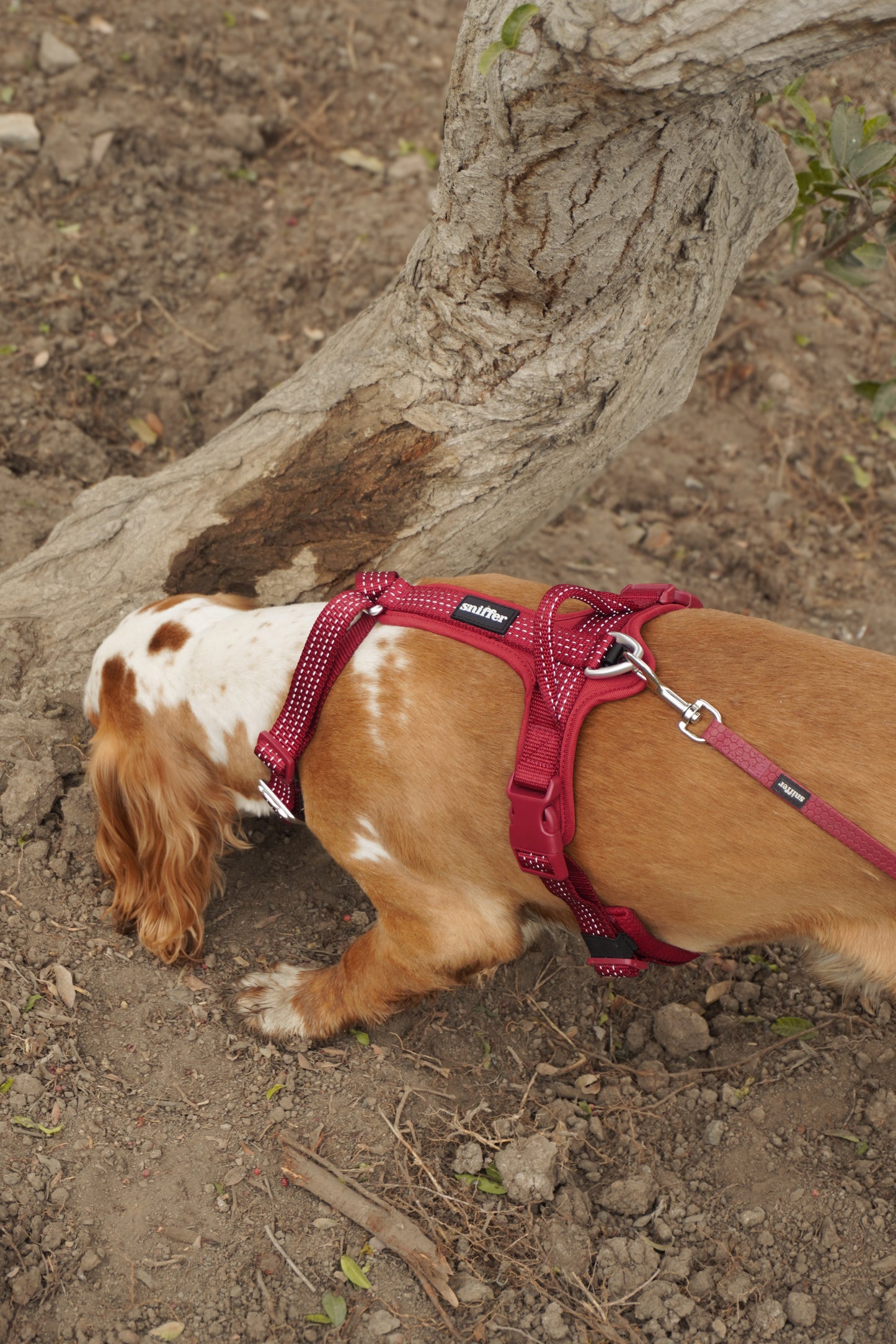 Correa Grip - Guinda