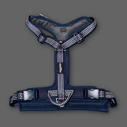 Pack Arnés Nova + Correa Grip (3-5-7 metros) - Azul