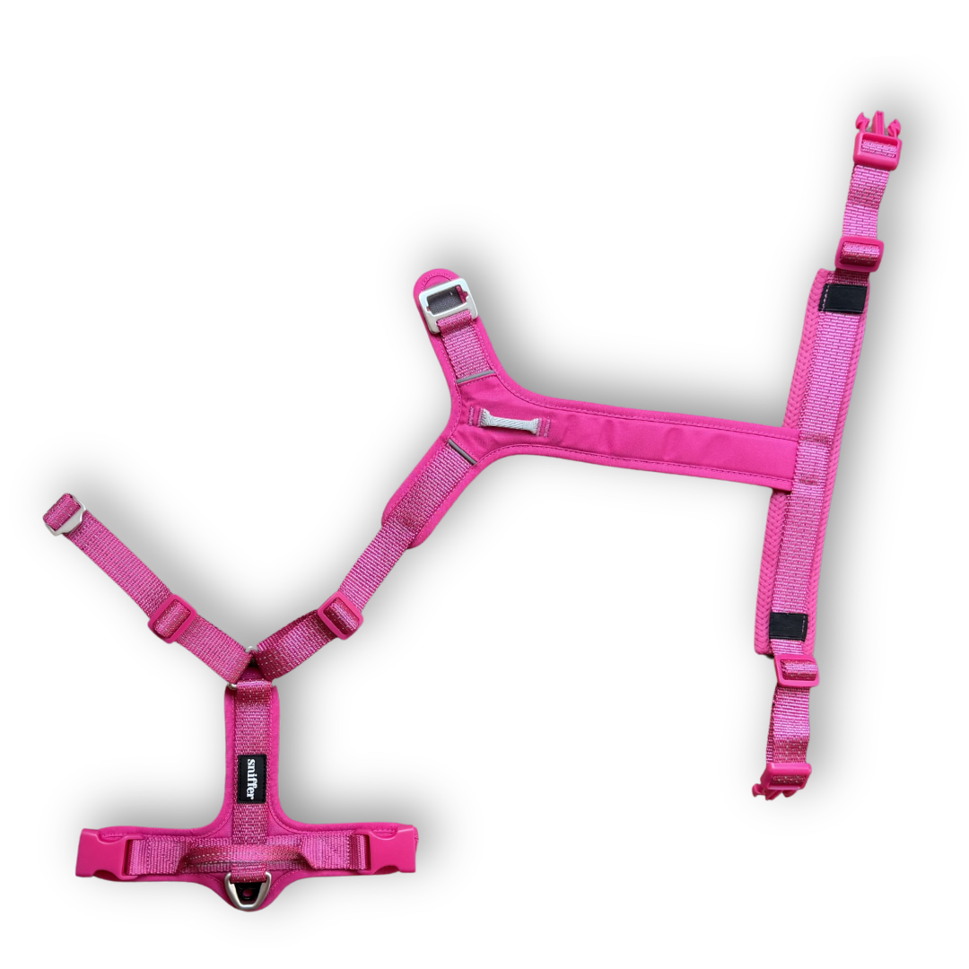 Pack Arnés Nova + Correa Grip - Fucsia