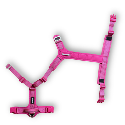Pack Arnés Nova + Correa Grip - Fucsia