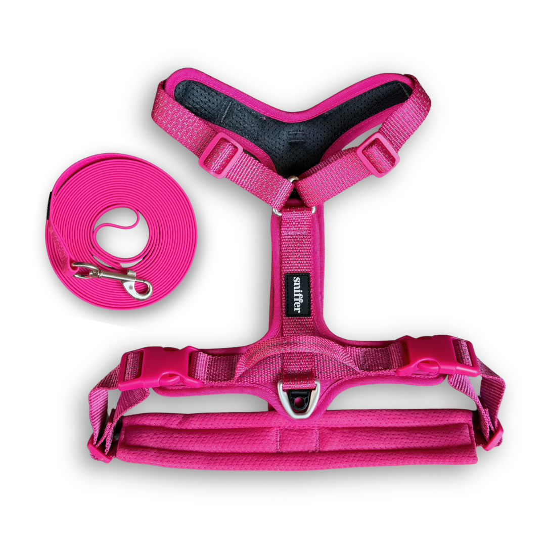Pack Arnés Nova + Correa Grip - Fucsia
