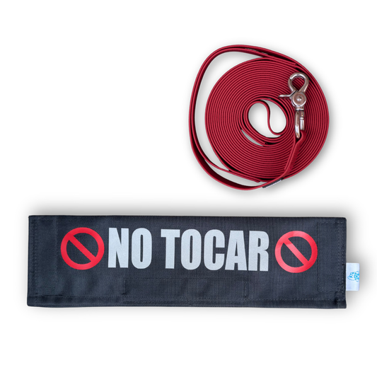 Arma tu pack: Tag Speak Dog + Correa