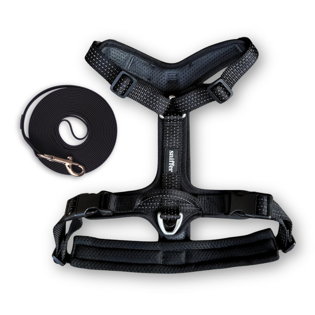 Pack Arnés Nova + Correa Grip - Negro