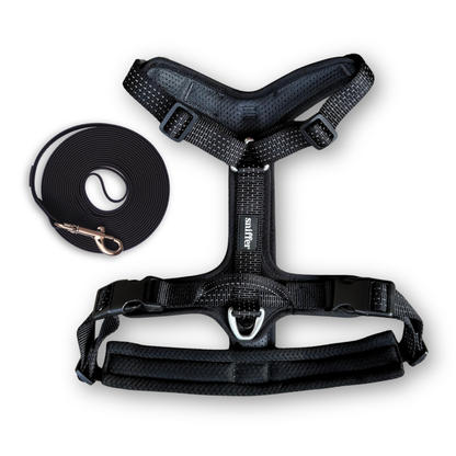 Pack Arnés Nova + Correa Grip - Negro