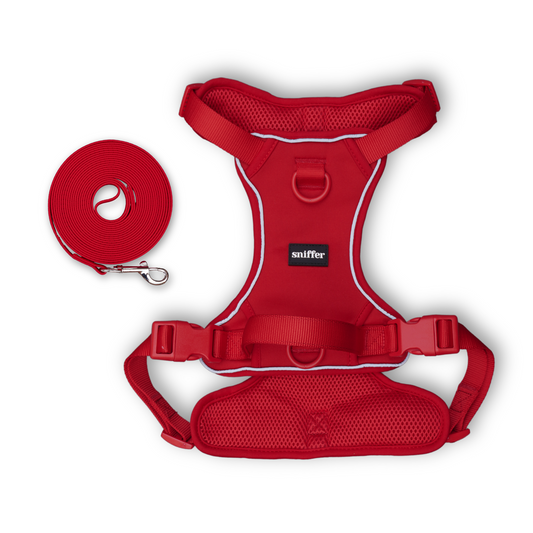 Pack Arnés Flex + Correa Grip (3-5-7 metros) - Rojo Vino