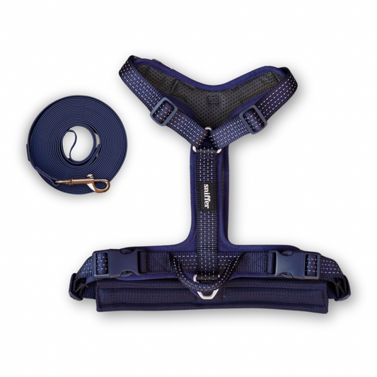 Pack Arnés Nova + Correa Grip (3-5-7 metros) - Azul