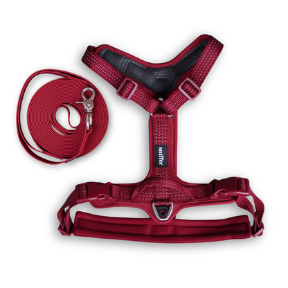 Pack Arnés Nova + Correa Grip Max (3-5 metros) - Guinda