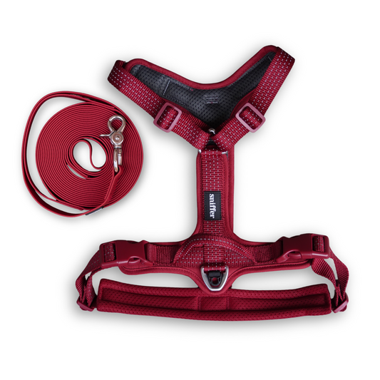 Pack Arnés Nova + Correa Grip Max (3-5 metros) - Guinda