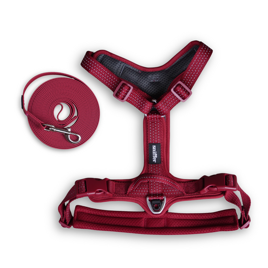 Pack Arnés Nova + Correa Grip (3-5-7 metros) - Guinda