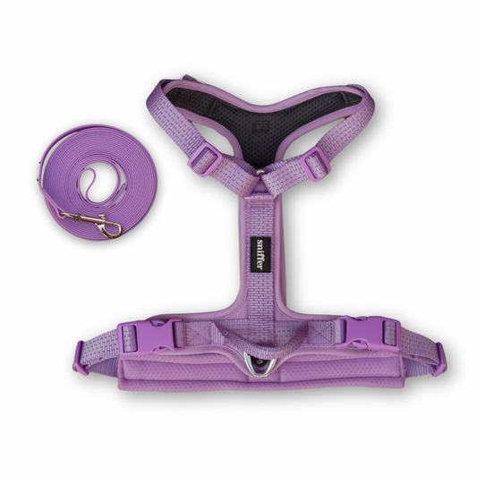 Pack Arnés Nova + Correa Grip (3-5-7 metros) - Lila