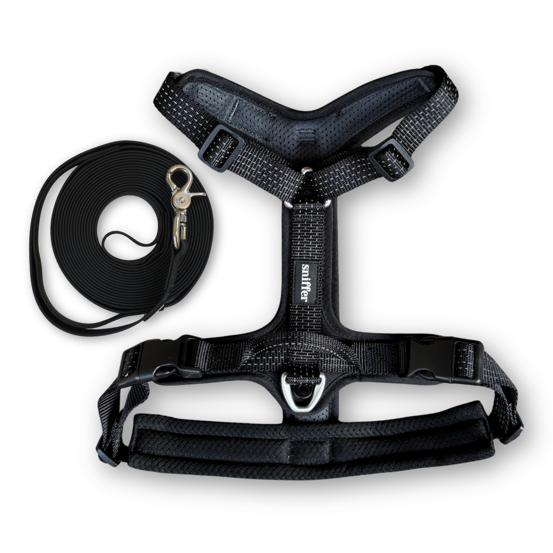 Pack Arnés Nova + Correa Grip Max - Negro