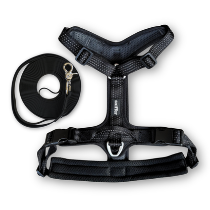 Pack Arnés Nova + Correa Grip Max - Negro
