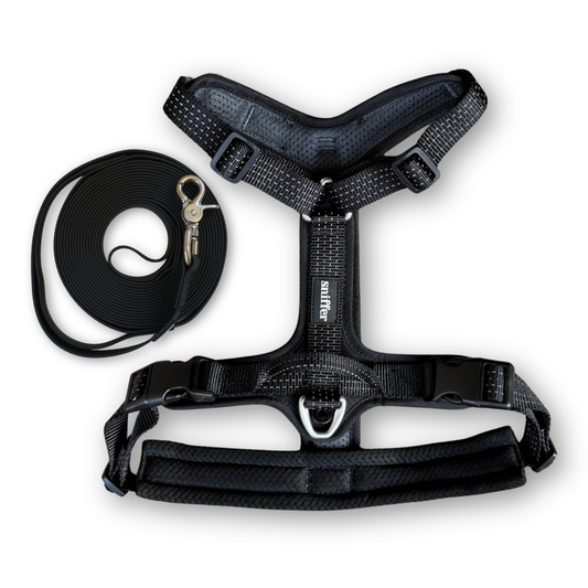 Pack Arnés Nova + Correa Grip Max - Negro